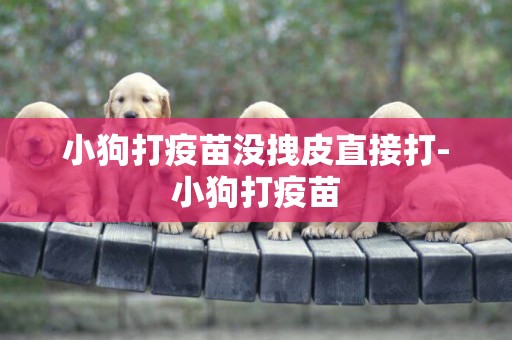 小狗打疫苗沒拽皮直接打-小狗打疫苗