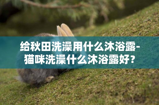 給秋田洗澡用什么沐浴露-貓咪洗澡什么沐浴露好？