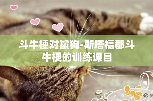 斗牛梗對鬣狗-斯塔福郡斗牛梗的訓練課目