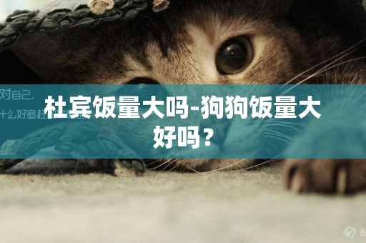 杜賓飯量大嗎-狗狗飯量大好嗎？