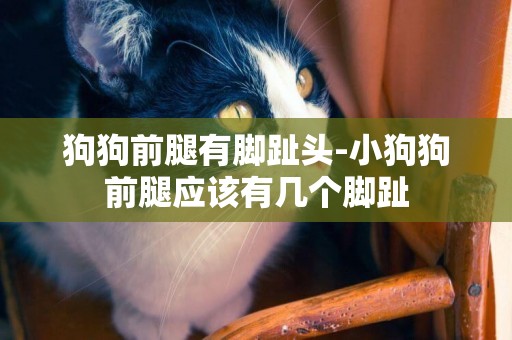 狗狗前腿有腳趾頭-小狗狗前腿應該有幾個腳趾