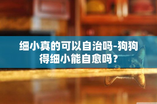 細小真的可以自治嗎-狗狗得細小能自愈嗎？