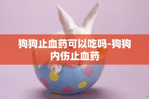 狗狗止血藥可以吃嗎-狗狗內傷止血藥