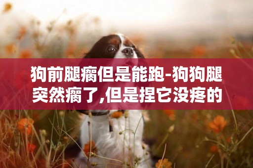狗前腿瘸但是能跑-狗狗腿突然瘸了,但是捏它沒疼的反應