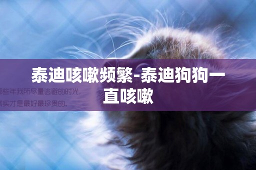 泰迪咳嗽頻繁-泰迪狗狗一直咳嗽