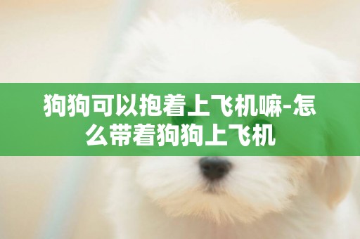 狗狗可以抱著上飛機嘛-怎么帶著狗狗上飛機