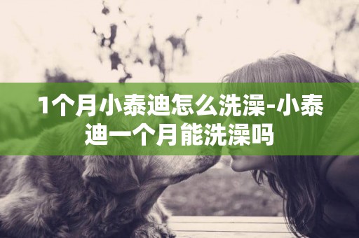 1個月小泰迪怎么洗澡-小泰迪一個月能洗澡嗎