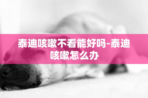 泰迪咳嗽不看能好嗎-泰迪咳嗽怎么辦