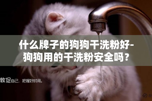 什么牌子的狗狗干洗粉好-狗狗用的干洗粉安全嗎？
