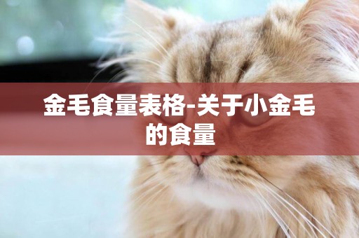 金毛食量表格-關于小金毛的食量