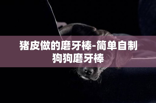 豬皮做的磨牙棒-簡單自制狗狗磨牙棒