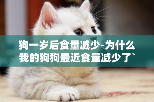 狗一歲后食量減少-為什么我的狗狗最近食量減少了```8個月了```