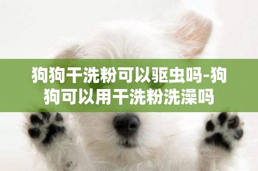 狗狗干洗粉可以驅蟲嗎-狗狗可以用干洗粉洗澡嗎