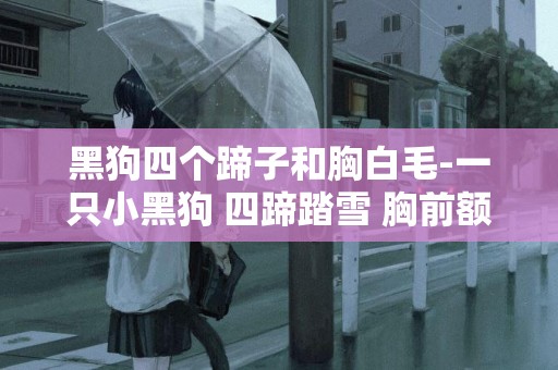 黑狗四個蹄子和胸白毛-一只小黑狗 四蹄踏雪 胸前額頭都有白毛 有人說不好 不明白什么意思 ？