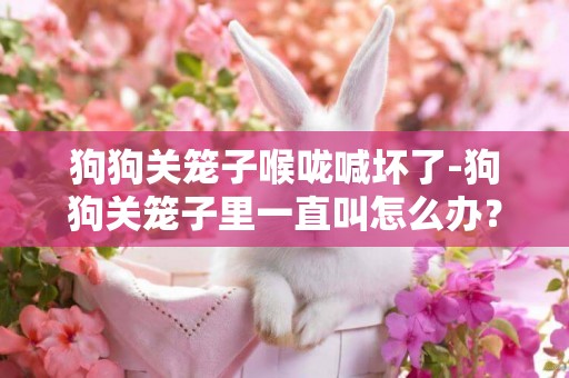 狗狗關籠子喉嚨喊壞了-狗狗關籠子里一直叫怎么辦？