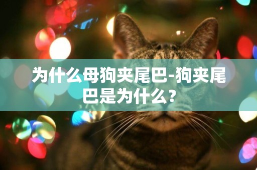 為什么母狗夾尾巴-狗夾尾巴是為什么？