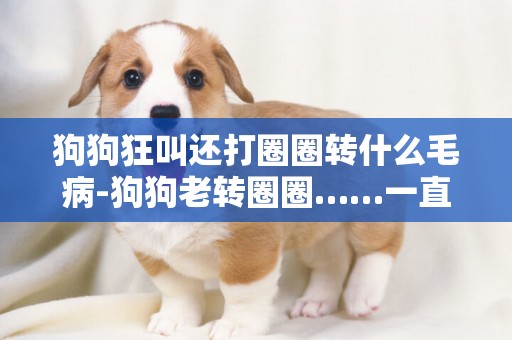 狗狗狂叫還打圈圈轉什么毛病-狗狗老轉圈圈……一直叫不知道什么原因！