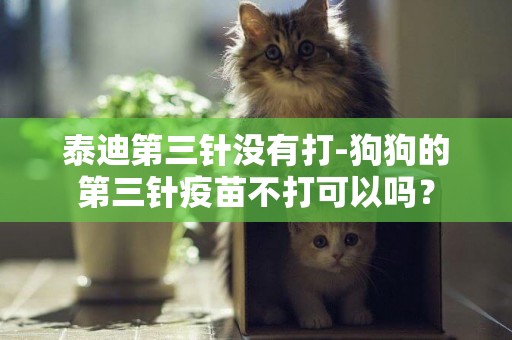 泰迪第三針沒有打-狗狗的第三針疫苗不打可以嗎？