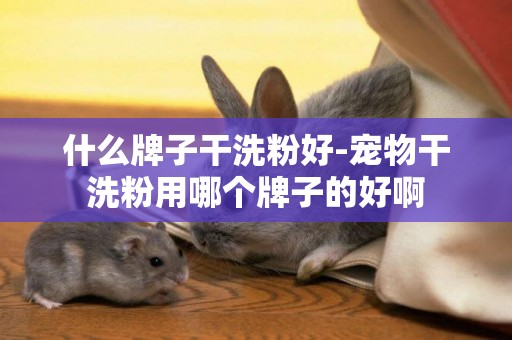 什么牌子干洗粉好-寵物干洗粉用哪個牌子的好啊