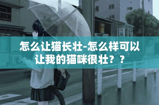 怎么讓貓長壯-怎么樣可以讓我的貓咪很壯？？