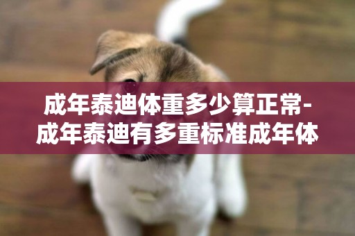 成年泰迪體重多少算正常-成年泰迪有多重標準成年體重