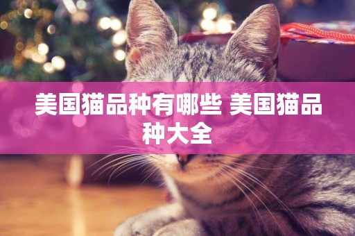 美國貓品種有哪些 美國貓品種大全