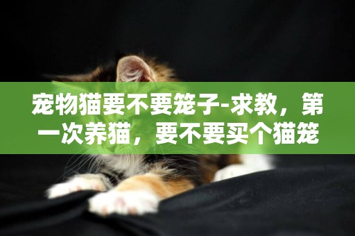 寵物貓要不要籠子-求教，第一次養貓，要不要買個貓籠