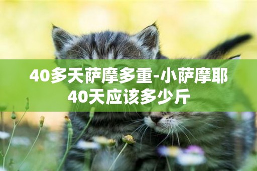 40多天薩摩多重-小薩摩耶40天應該多少斤