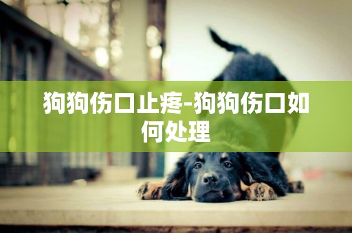 狗狗傷口止疼-狗狗傷口如何處理