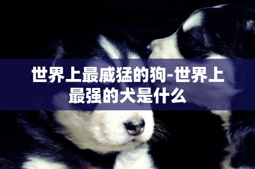 世界上最威猛的狗-世界上最強的犬是什么
