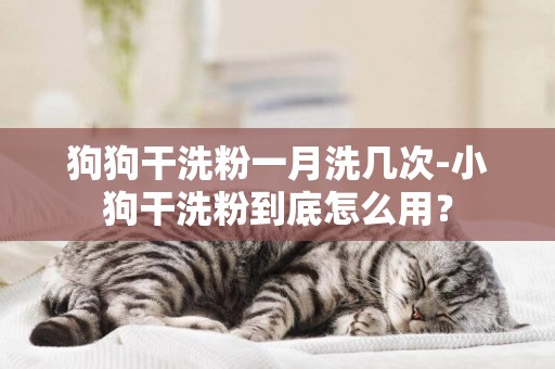 狗狗干洗粉一月洗幾次-小狗干洗粉到底怎么用？