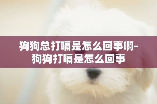 狗狗總打嗝是怎么回事啊-狗狗打嗝是怎么回事