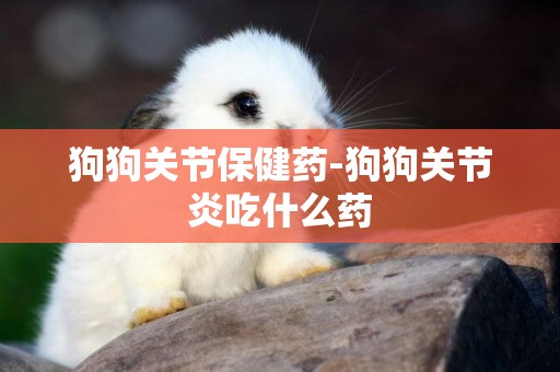 狗狗關節保健藥-狗狗關節炎吃什么藥