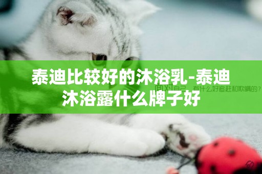 泰迪比較好的沐浴乳-泰迪沐浴露什么牌子好