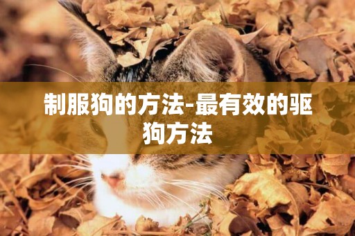 制服狗的方法-最有效的驅狗方法