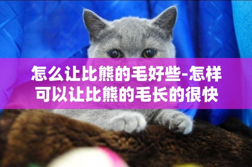 怎么讓比熊的毛好些-怎樣可以讓比熊的毛長的很快