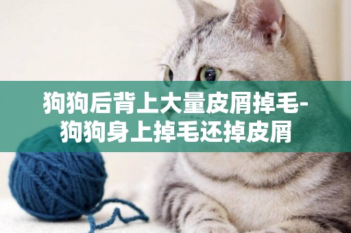狗狗后背上大量皮屑掉毛-狗狗身上掉毛還掉皮屑