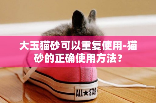 大玉貓砂可以重復使用-貓砂的正確使用方法？