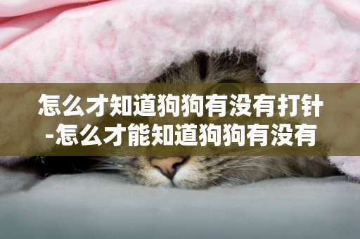 怎么才知道狗狗有沒有打針-怎么才能知道狗狗有沒有打過預防針？