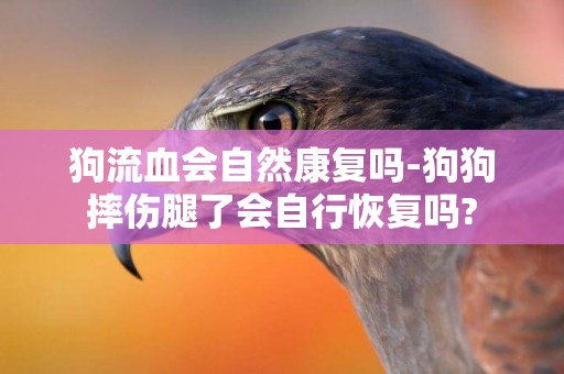 狗流血會自然康復嗎-狗狗摔傷腿了會自行恢復嗎?