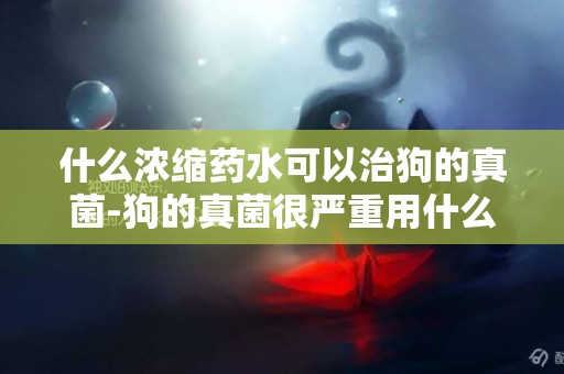什么濃縮藥水可以治狗的真菌-狗的真菌很嚴重用什么藥能夠治好