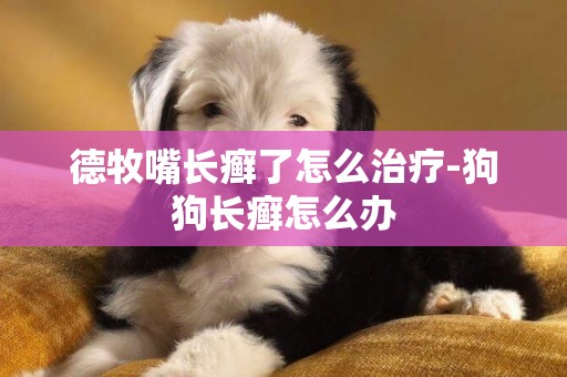 德牧嘴長癬了怎么治療-狗狗長癬怎么辦