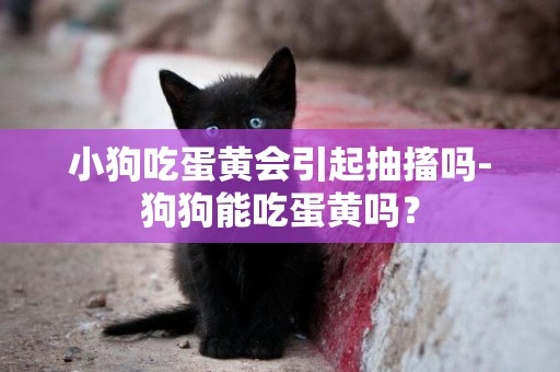 小狗吃蛋黃會引起抽搐嗎-狗狗能吃蛋黃嗎？