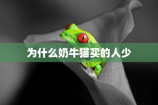 為什么奶牛貓買的人少
