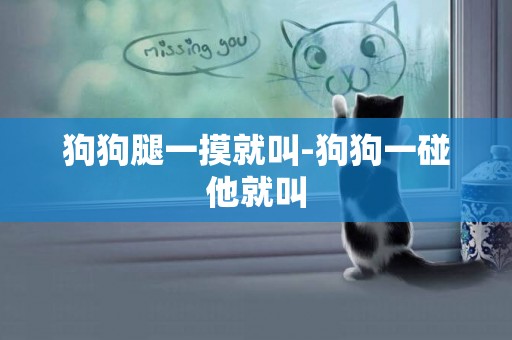 狗狗腿一摸就叫-狗狗一碰他就叫