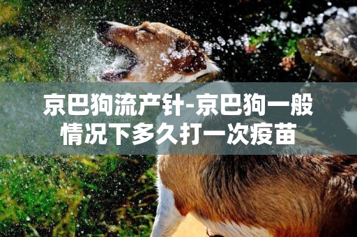京巴狗流產針-京巴狗一般情況下多久打一次疫苗