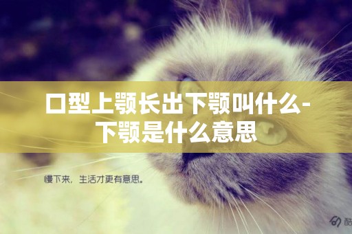 口型上顎長出下顎叫什么-下顎是什么意思