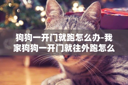 狗狗一開門就跑怎么辦-我家狗狗一開門就往外跑怎么辦
