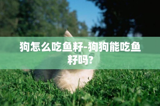 狗怎么吃魚籽-狗狗能吃魚籽嗎?