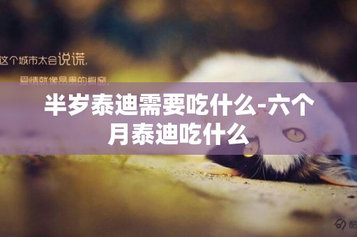 半歲泰迪需要吃什么-六個月泰迪吃什么